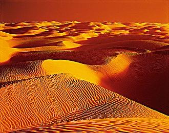 开启属于你的多样冒险！像素风平台动作游戏《英灵士魂》今日正式上线